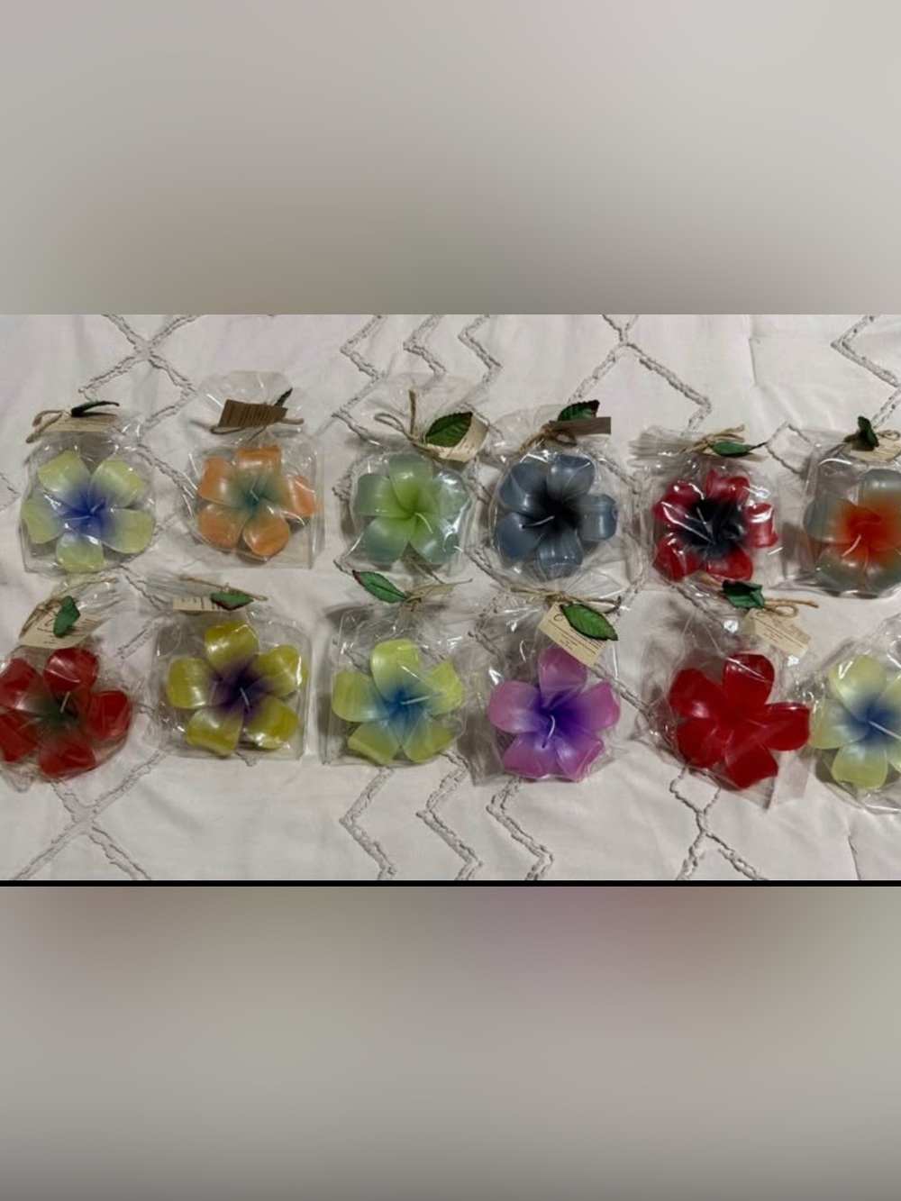 Assorted Floating Plumeria Flower Wax Candles - Multicolor 12 piece set